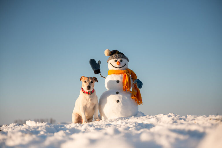 Decoding HFCU Car Loan Rates: Your Ultimate Guide to Smart Vehicle Financing