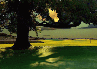 Driving Digital: How Do Online Car Loans Work from Application to Approval