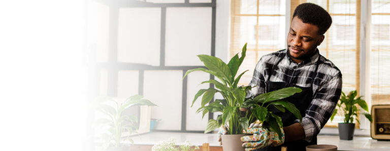 Driving Your Dream: The Ultimate Guide to Securing a Mecu Car Loan