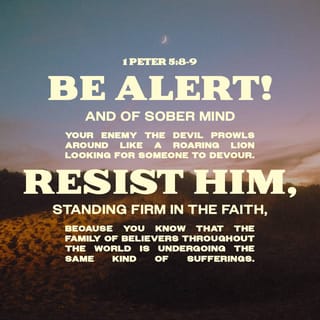 Navigate the Road to Your Dream Car: Your Ultimate Guide to Getting Prequalified for a Car Loan