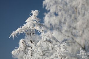 navigating-your-drive-a-comprehensive-guide-to-frost-bank-car-loans