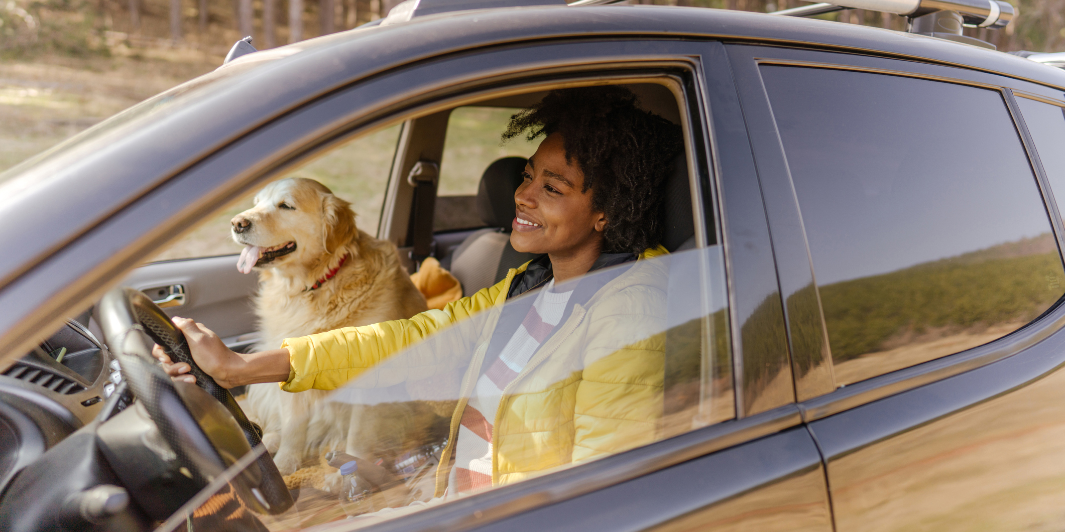 The Ultimate Guide to Switching a Car Loan to Another Person ...