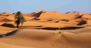 unlock-your-dream-ride-a-deep-dive-into-desert-financial-car-loans
