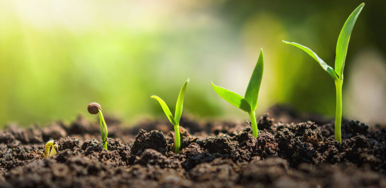 Drive Your Dreams: The Ultimate Guide to Securing a Grow Financial Car Loan