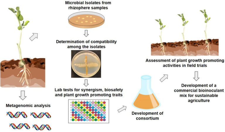 Driving Change: Your Ultimate Guide to a Beneficial State Bank Car Loan