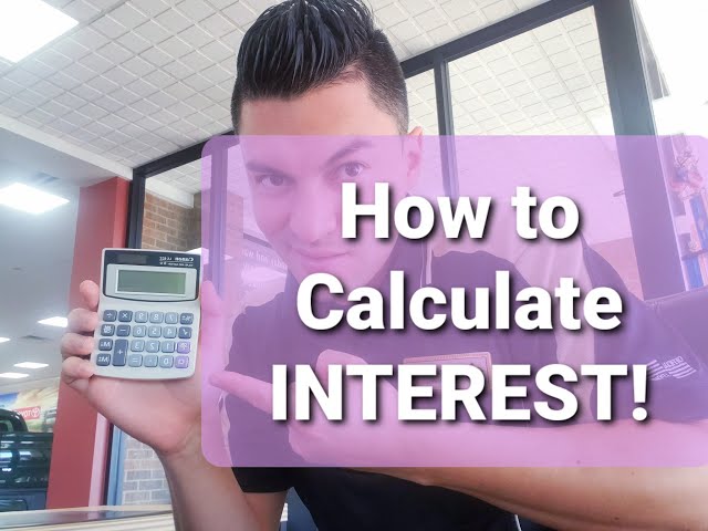 How Much Interest Did I Pay On My Car Loan? The Ultimate Guide to Understanding Your Costs