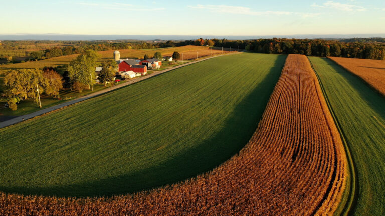 Land Rover Loaner Cars For Sale: Your Ultimate Guide to Unlocking Premium Value