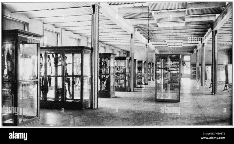 Your Ultimate Guide to Securing Your First Car Loan: A Comprehensive Walkthrough